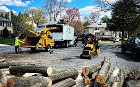  Sheridan, WY Tree Services Pros